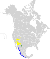 13:31, 1 otsaila 2011 bertsioaren iruditxoa