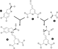 Vorschaubild der Version vom 21:05, 17. Mai 2007