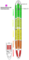 Vorschaubild der Version vom 00:37, 4. Nov. 2015