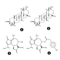 09:26, 15 மார்ச்சு 2006 இலிருந்த பதிப்புக்கான சிறு தோற்றம்