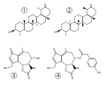 10:34, 17 அக்டோபர் 2007 இலிருந்த பதிப்புக்கான சிறு தோற்றம்