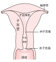 2019年4月21日 (日) 10:08版本的缩略图