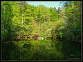 Vorschaubild der Version vom 19:26, 16. Mai 2016