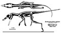 Miniatura della versione delle 17:09, 26 mar 2014