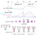 تصویر بندانگشتی از نسخهٔ مورخ ‏۱ ژانویهٔ ۲۰۲۲، ساعت ۲۲:۲۸