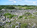 2007年3月3日 (土) 13:38時点における版のサムネイル