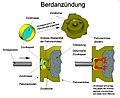 Vorschaubild der Version vom 19:20, 10. Jan. 2020