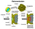 Vorschaubild der Version vom 02:03, 1. Feb. 2023