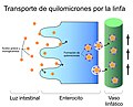 Miniatura de la versión del 19:08 29 nov 2018