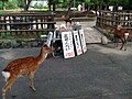 2007年9月13日 (木) 14:52時点における版のサムネイル