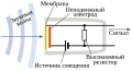 Миниатюра для версии от 12:52, 1 августа 2020