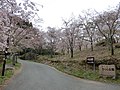 2017年5月1日 (月) 03:06時点における版のサムネイル