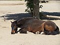 Vorschaubild der Version vom 08:33, 3. Jun. 2022