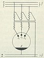 Pisipilt versioonist seisuga 19. märts 2006, kell 12:55