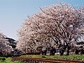 2016年6月22日 (水) 05:30時点における版のサムネイル