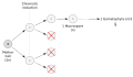 Pisipilt versioonist seisuga 8. märts 2007, kell 17:32