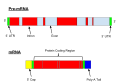 תמונה ממוזערת לגרסה מ־20:36, 6 ביוני 2016