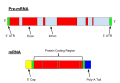 תמונה ממוזערת לגרסה מ־19:29, 13 ביוני 2016