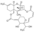Vorschaubild der Version vom 23:37, 18. Mär. 2010