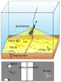 Pisipilt versioonist seisuga 26. november 2018, kell 02:51