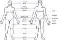 תמונה ממוזערת לגרסה מ־01:09, 28 במאי 2009