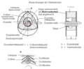 Vorschaubild der Version vom 06:53, 12. Jan. 2013