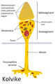 Pisipilt versioonist seisuga 18. juuli 2009, kell 02:25