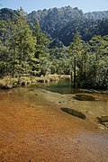 2009年9月23日 (水) 09:31時点における版のサムネイル