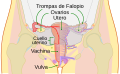 Miniatura d'a versión de 09:41 8 feb 2019