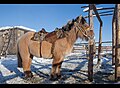 於 2015年2月14日 (六) 17:42 版本的縮圖