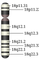 Pisipilt versioonist seisuga 24. juuli 2008, kell 11:25