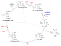 Vorschaubild der Version vom 15:10, 10. Feb. 2010