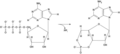 תמונה ממוזערת לגרסה מ־15:24, 2 באפריל 2007