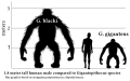 Миниатюра для версии от 09:12, 11 сентября 2013