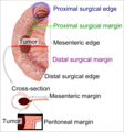 Thumbnail for version as of 07:22, 4 February 2020