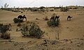 תמונה ממוזערת לגרסה מ־19:57, 26 בספטמבר 2014