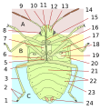 תמונה ממוזערת לגרסה מ־22:22, 19 ביולי 2008