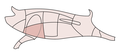 Vorschaubild der Version vom 14:35, 19. Jan. 2013