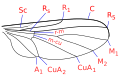 Hình xem trước của phiên bản lúc 18:43, ngày 12 tháng 1 năm 2009