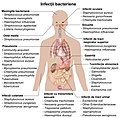 Miniatură pentru versiunea din 21 februarie 2019 02:08