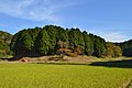 2016年11月13日 (日) 14:34時点における版のサムネイル