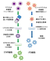 2014年2月3日 (月) 12:12時点における版のサムネイル