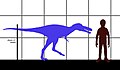 2010年5月26日 (水) 06:02時点における版のサムネイル