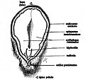 Bersyon han thumbnail han 15:28, 27 Nobyembre 2013