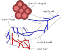 تصغير للنسخة بتاريخ 21:35، 28 يونيو 2015