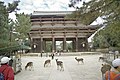 2005年2月20日 (日) 04:46時点における版のサムネイル