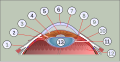 Miniatura della versione delle 14:54, 20 set 2009