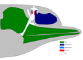 Metungincel þære fadunge fram 20:52 on 21 Solmonaþ 2005