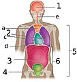 Hình xem trước của phiên bản lúc 19:24, ngày 23 tháng 11 năm 2017