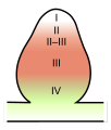 Pisipilt versioonist seisuga 29. juuli 2009, kell 10:21